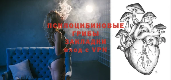 шишки Белоозёрский