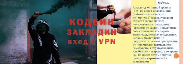шишки Белоозёрский