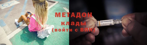 шишки Белоозёрский