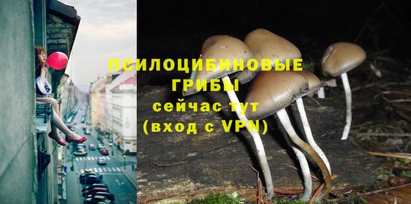 2c-b Белокуриха