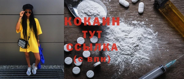 шишки Белоозёрский