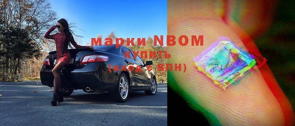 шишки Белоозёрский