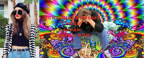 ПСИЛОЦИБИНОВЫЕ ГРИБЫ Беломорск