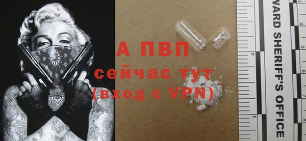 шишки Белоозёрский