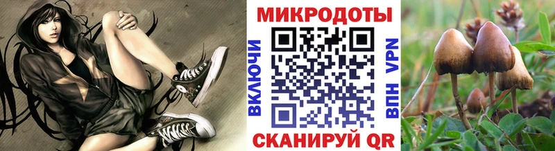 MEGA ссылки  Северодвинск  Галлюциногенные грибы прущие грибы 